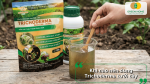 Thời điểm phù hợp để dùng Trichoderma tưới cho cây trồng