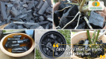 Cách xử lý than củi trước khi trồng lan để loại bỏ tạp chất và tăng độ bền giá thể