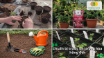Chuẩn bị đất trồng, dụng cụ và giống trước khi trồng hoa hồng đen