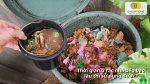 Rác nhà bếp sau khi ủ bằng Trichoderma trong thùng compost hữu cơ