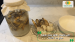 Hướng dẫn làm dịch chuối với nước vo gạo giúp tận dụng nguyên liệu tự nhiên để chăm cây hiệu quả.