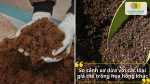 So sánh xơ dừa với các loại giá thể trồng hoa hồng phổ biến hiện nay