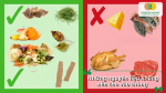 Những nguyên liệu không nên cho vào thùng ủ phân hữu cơ tại nhà