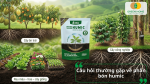 Phân bón Humic phù hợp cho cây ăn trái, rau màu, hoa kiểng và cây công nghiệp trong nhiều điều kiện canh tác.