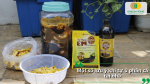 Một số lưu ý khi tự ủ phân cá tại nhà để đảm bảo an toàn và đạt hiệu quả tốt cho cây trồng.