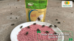 Thuốc Quick Bayt dạng bả diệt ruồi giúp kiểm soát ruồi hiệu quả, giảm nguy cơ lây lan mầm bệnh