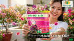 Phân bón siêu hoa giấy giúp kích thích cây ra hoa đồng loạt, lâu tàn và màu sắc rực rỡ.