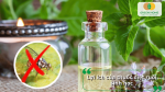 Thuốc diệt ruồi sinh học giúp giảm mật độ ruồi, bảo vệ sức khỏe, hạn chế mầm bệnh