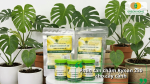 Sản phẩm phân tan chậm Rynan 230 NPK 23-08-08+TE dành cho cây cảnh và cây nội thất.