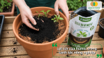 Bón Humic giúp phát triển bộ rễ khỏe mạnh, tăng sức sinh trưởng và cải thiện năng suất cây trồng.