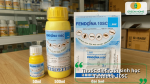 Thuốc Fendona 10SC giúp kiểm soát ruồi và nhiều loại côn trùng gây hại