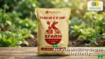 Bón phân bò hữu cơ vi sinh giúp cải tạo đất, tăng sức đề kháng và hỗ trợ hoa hồng chống lại bệnh mốc xám.