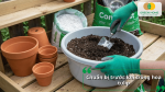 Chuẩn bị chậu, giá thể tơi xốp, dụng cụ làm vườn và phân bón giúp cây tulip phát triển khỏe mạnh ngay từ khi trồng.