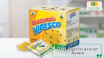 Bả diệt ruồi Vipesco giúp thu hút và tiêu diệt ruồi nhanh chóng, phù hợp cho hộ gia đình