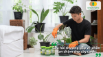 Người chăm sóc cây cảnh bón phân tan chậm cho cây nội thất, giải đáp các câu hỏi thường gặp khi sử dụng.