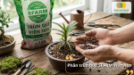 Phân trùn quế SFARM dạng viên nén cung cấp nguồn dinh dưỡng hữu cơ tự nhiên