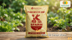 Phân bò ủ hoai SFARM cải tạo đất và bổ sung dinh dưỡng cho rau xà lách trồng tại vườn.