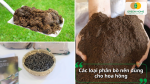Các loại phân bò hoai mục, phân bò vi sinh và phân bò viên nén phù hợp để bón cho hoa hồng, giúp cây hấp thu dinh dưỡng hiệu quả.