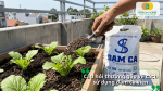 Giải đáp câu hỏi thường gặp về cách sử dụng đạm cá viên cho các loại cây trồng.
