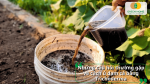 Giải đáp các câu hỏi thường gặp về cách ủ đạm cá bằng Trichoderma, thời gian ủ, cách bảo quản và sử dụng hiệu quả.