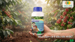 Đạm cá Amino chất lượng cao giúp bổ sung dinh dưỡng hữu cơ cho cây trồng, phù hợp sử dụng cho rau màu, cây ăn quả, hoa kiểng và cây công nghiệp.