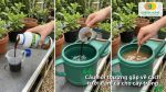 Giải đáp những câu hỏi thường gặp về cách tưới đạm cá cho cây trồng, liều lượng pha, tần suất sử dụng và những lưu ý để đạt hiệu quả cao.