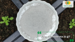 Nấm Trichoderma dạng bột dùng cải tạo đất và bảo vệ rễ cây
