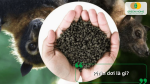 Phân dơi là phân bón hữu cơ tự nhiên giàu dinh dưỡng, thích hợp cho nhiều loại cây trồng.