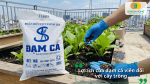 Lợi ích của đạm cá viên đối với cây trồng giúp bổ sung dinh dưỡng và cải tạo đất hiệu quả.