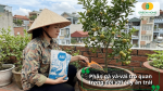 Phân gà cung cấp dinh dưỡng và vai trò quan trọng đối với cây ăn trái.