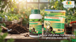 Các chế phẩm Trichoderma Bacillus Humic phổ biến hiện nay