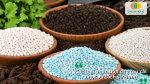Các loại phân bón phù hợp cho rau cải ngọt và hướng dẫn sử dụng theo từng giai đoạn sinh trưởng.