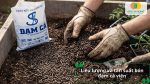 Liều lượng và tần suất bón đạm cá viên phù hợp cho từng giai đoạn sinh trưởng của cây.
