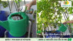 Đạm cá giúp kích thích ra rễ, phát triển thân lá, cải tạo đất, tăng khả năng hấp thu dinh dưỡng và nâng cao năng suất cho cây trồng.