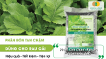 Phân tan chậm Rynan Vetamate 140 chuyên dùng cho rau cải