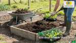 Cách Bón Phân Cho Rau Bắp Cải Theo Từng Giai Đoạn Giúp Bắp To, Năng Suất Cao插图6