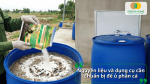 Chuẩn bị thùng ủ, cá nguyên liệu và chế phẩm Trichoderma để thực hiện quy trình ủ đạm cá đúng kỹ thuật tại nhà.