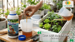 Cách tưới đạm cá cho rau màu giúp rau sinh trưởng nhanh, lá xanh khỏe, tăng năng suất và cải thiện chất lượng nông sản.