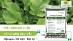 Phân tan chậm Rynan NPK 19-19-09 giúp rau cải phát triển cân đối