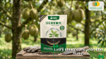 Lưu ý khi sử dụng phân bón Humic cho cây sầu riêng