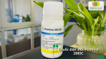 Thuốc diệt mối Premise 200SC xử lý mối tận gốc