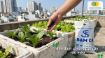 Bón đạm cá viên cho cây rau màu giúp rau phát triển xanh tốt và an toàn cho canh tác.