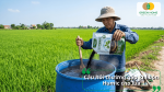 Câu hỏi thường gặp về cách bón Humic cho lúa và hướng dẫn sử dụng đúng kỹ thuật.