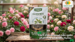 Chọn mua và bảo quản phân Hợp Trí Super Humic đúng cách để đảm bảo chất lượng sản phẩm.