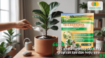 Các phương pháp bổ sung giúp cải tạo đất hiệu quả và duy trì độ phì nhiêu.