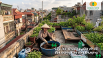 Phối trộn đất trong thùng để chuẩn bị giá thể trồng rau trên sân thượng.