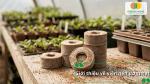 Giới thiệu viên nén ươm hạt xơ dừa dùng để gieo hạt và ươm cây giống.