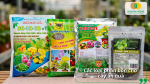 Các loại phân bón NPK phù hợp cho cây ăn quả giúp bổ sung dinh dưỡng và tăng trưởng.