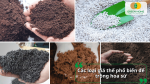 Các loại giá thể phổ biến dùng để trồng và chăm sóc cây hoa sứ.