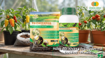 Chế phẩm Trichoderma Bacillus Humic dùng trong chăm sóc cây trồng.